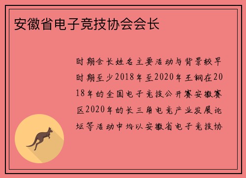 安徽省电子竞技协会会长