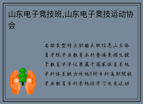 山东电子竞技班,山东电子竞技运动协会